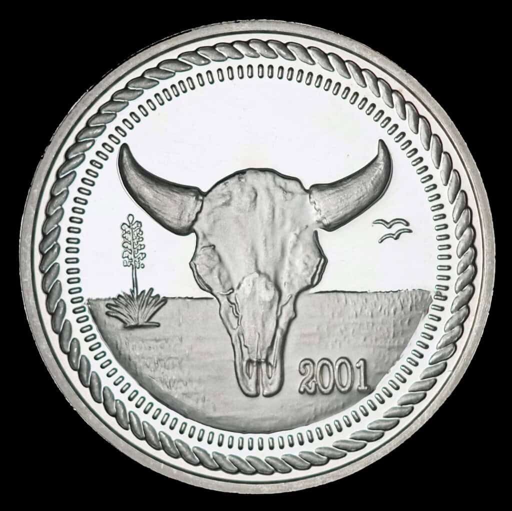 2001 Texas Silver Dollar – Buffalo Skull Obverse