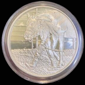2009 Texas Silver Dollar – Boy Leading Horse obverse