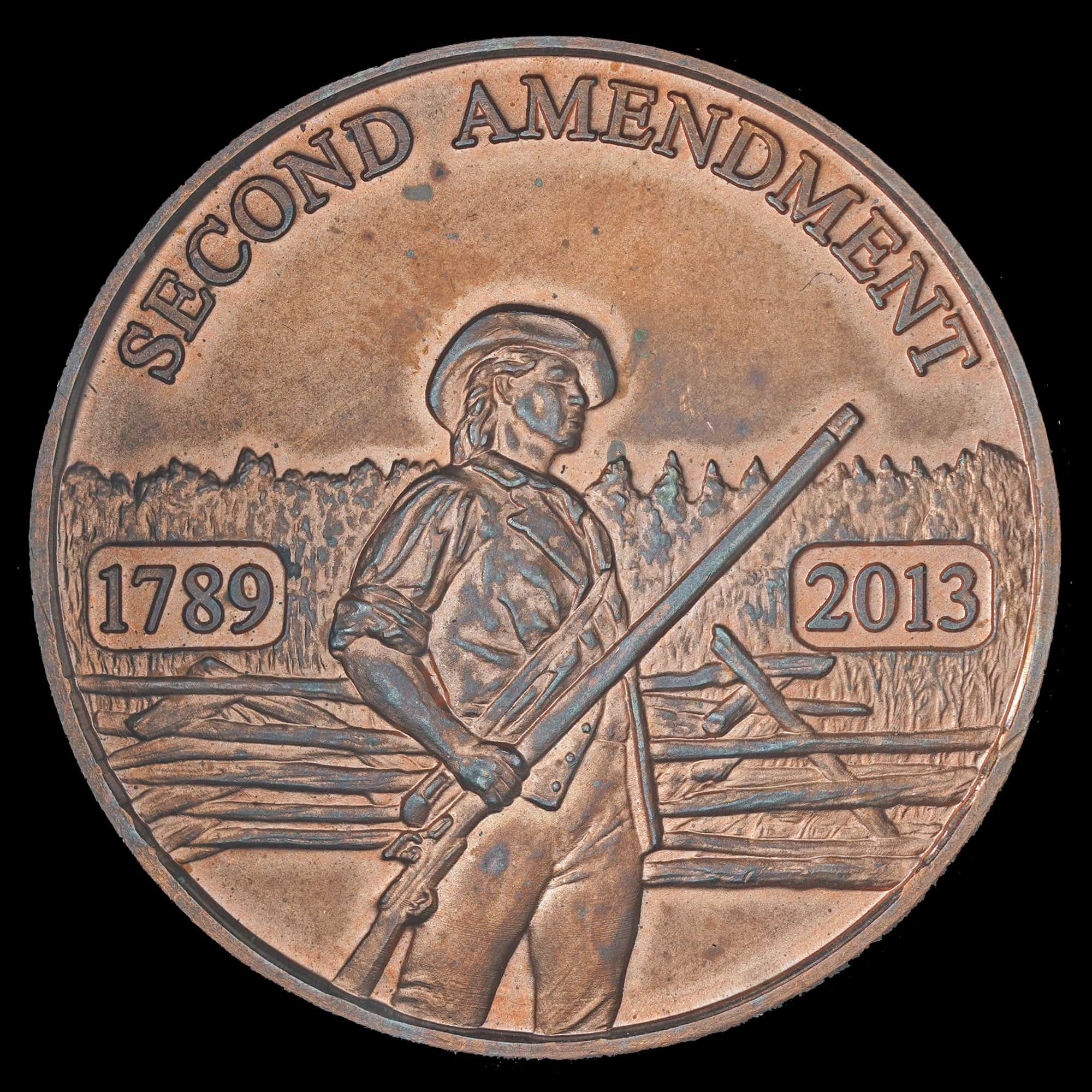 2013 Second Amendment HNH Copper Round
